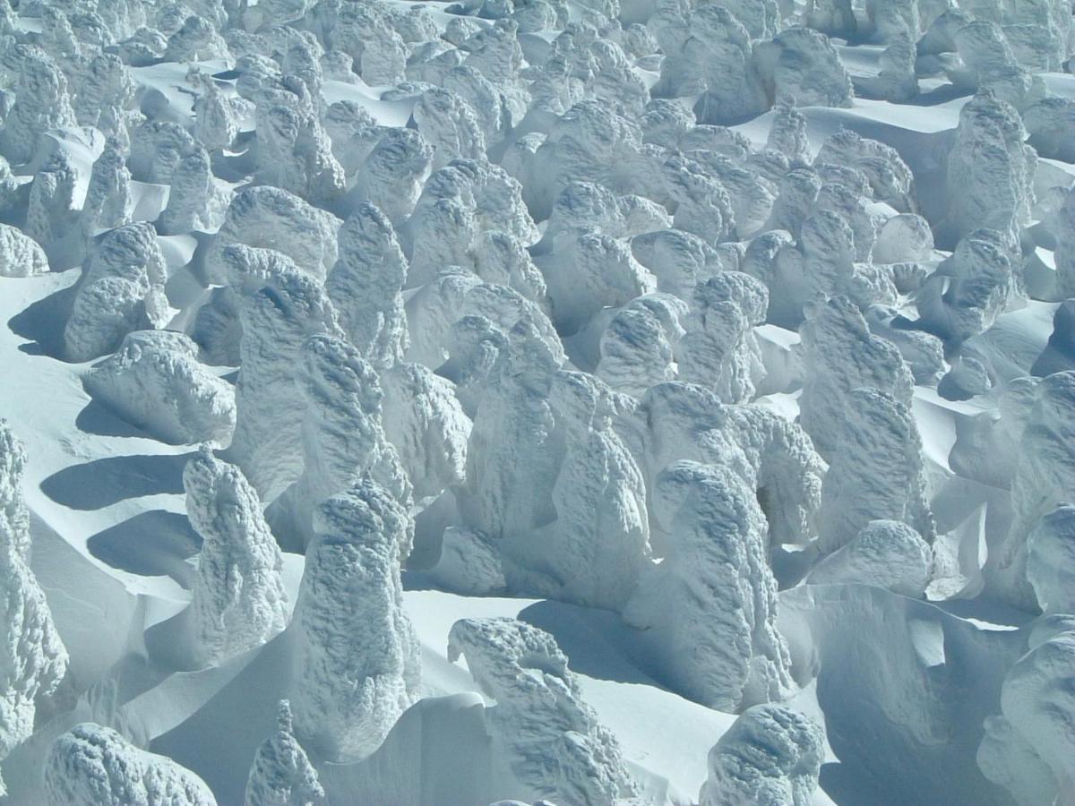 Le Vert Zao Jamagata Exteriér fotografie